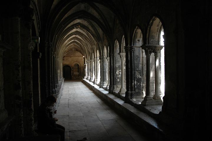 Arles_saintrophime_cloitre (10)